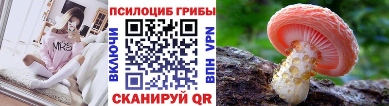 darknet как зайти  даркнет сайт  Щёлкино  Галлюциногенные грибы мицелий 